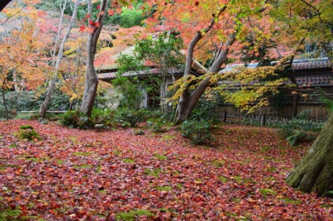 祇王寺