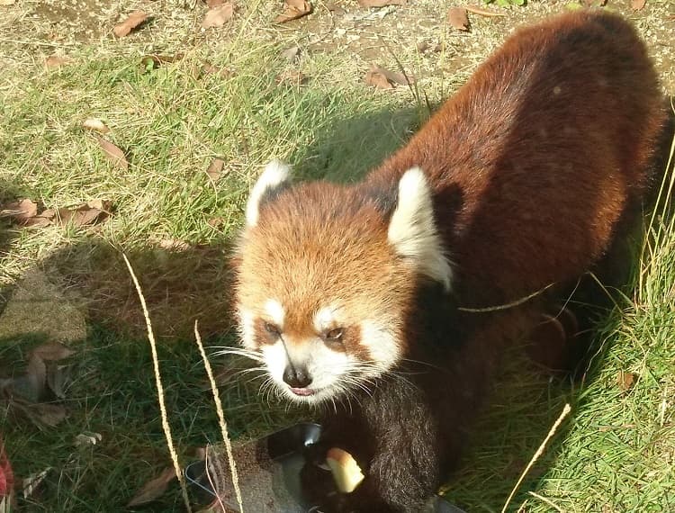 動物園