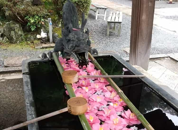 楊谷寺