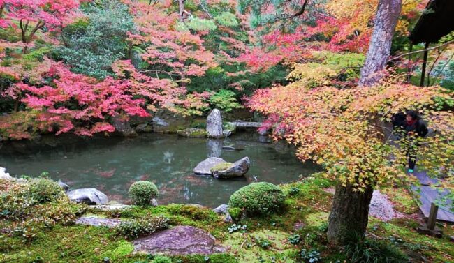 蓮華寺